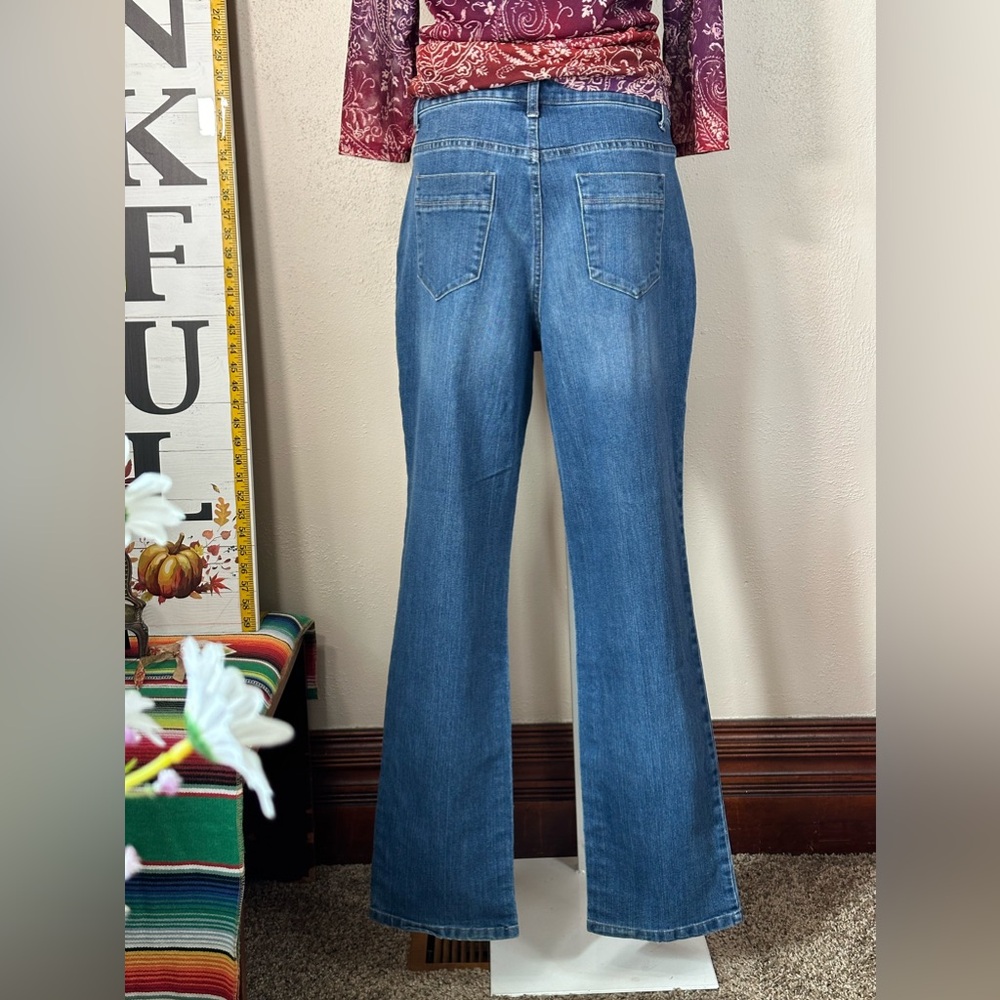 Christopher and Banks jeans classic fit size 10 bundle chaps V-neck top purple L
